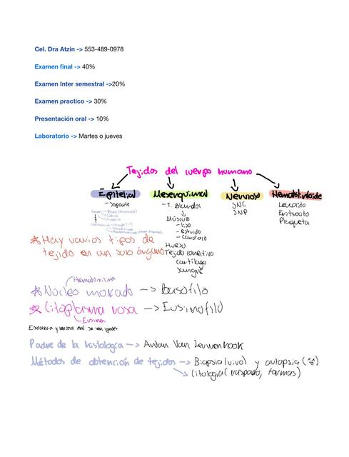 Tejidos del cuerpo humano 