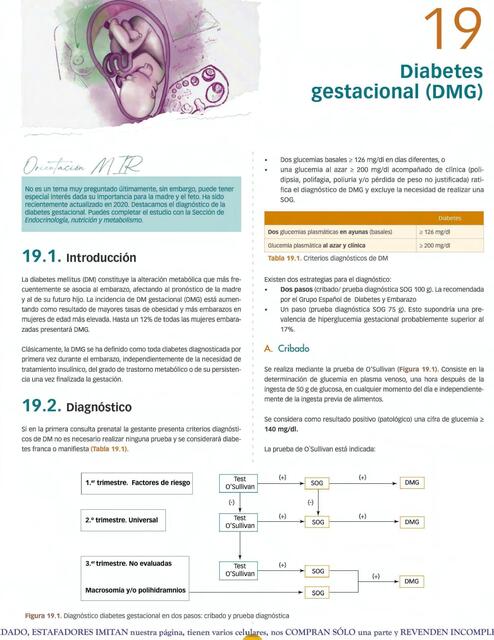 Diabetes Gestacional (DMG) 