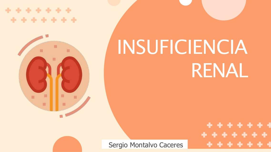 Insuficiencia renal 