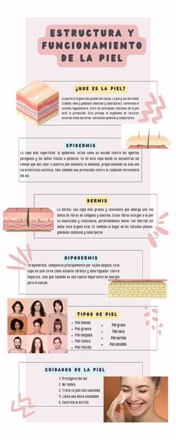 Estructura y funcionamiento de la piel