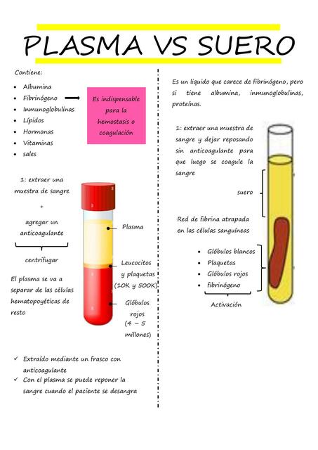 Plasma vs suero