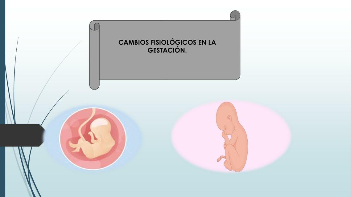 Cambios fisiologicos de la gestion