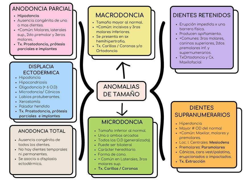 Anomalías tamaño y forma odontología 