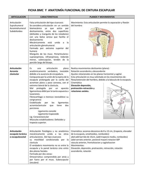FICHA DE BMC CINTURA ESCAPULAR