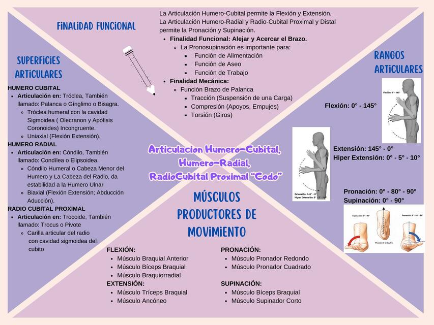 Articulación del Codo G2