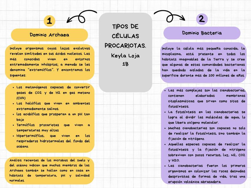 Tipos de Células Procariotas | Keyla Loja | uDocz