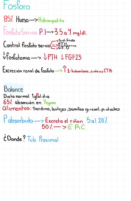 Distribución de fósforo e hipofosfatemia 