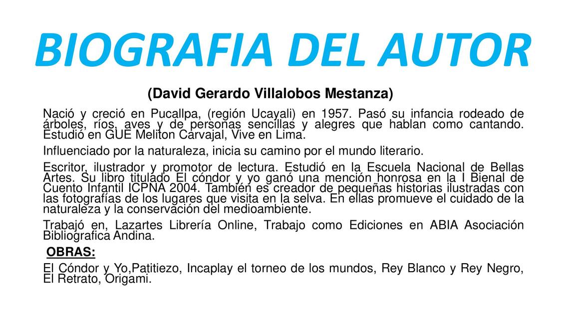 David Gerardo Villalobos Mestanza 