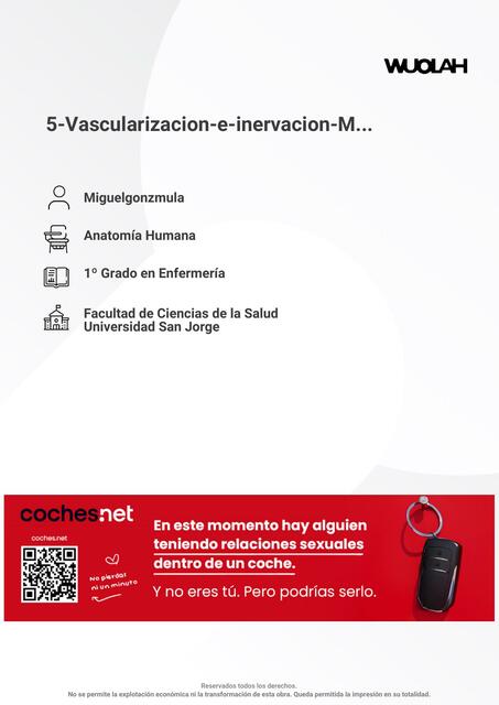 Vascularización e Inervación MS 