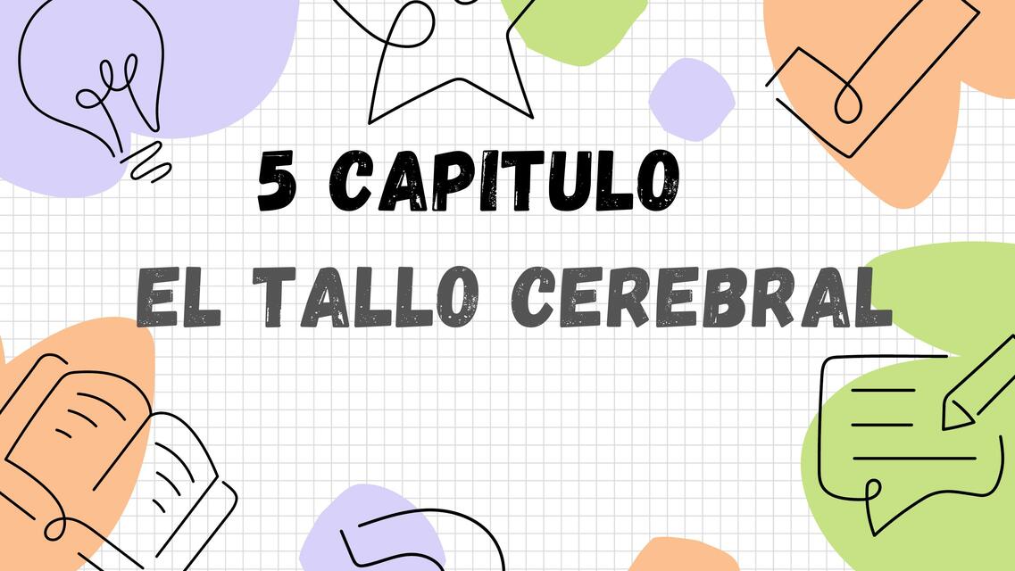 El Tallo Cerebral 