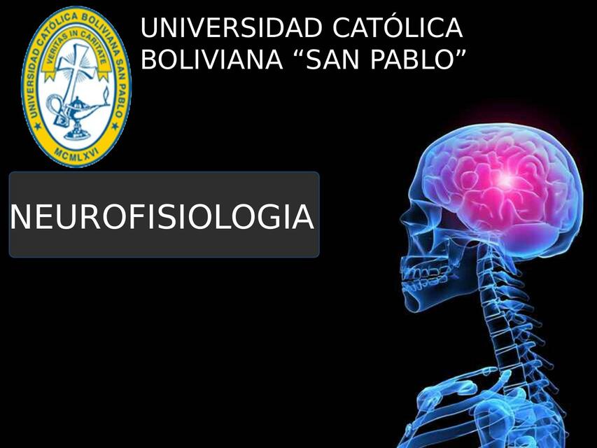 Neurofisiologia