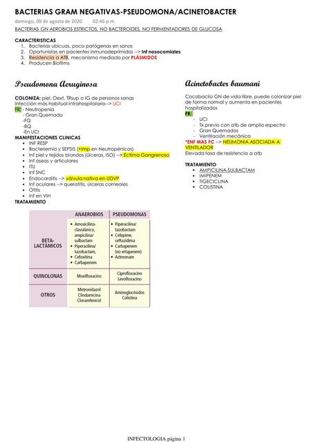 BACTERIAS GRAM NEGATIVAS PSEUDOMONAACINETOBACTER