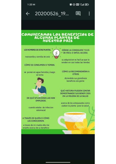 Comunicamos los beneficios de algunas plantas de nuestro país