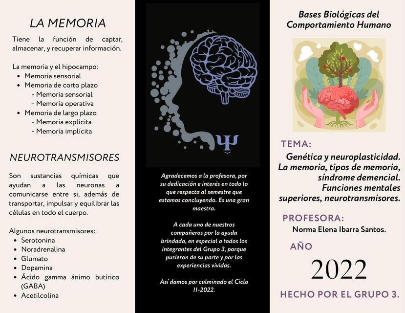 Genética y neuroplasticidad.La memoria, tipos de memoria,síndrome demencial.Funciones mentales superiores, neurotransmisores 