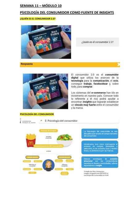 Psicología del Consumidor como Fuente de Insights 