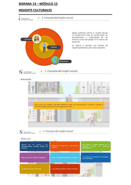 Ingsights Culturales 