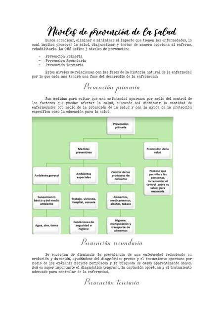 Niveles de prevención de la salud