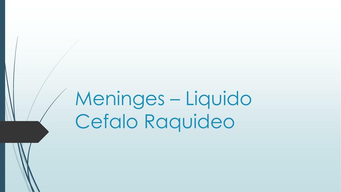 Meninges Liquido Cefalo Raquideo