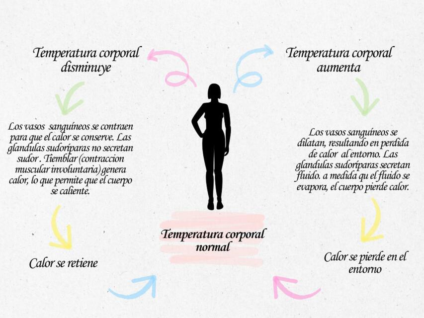 Retroalimentación negativa