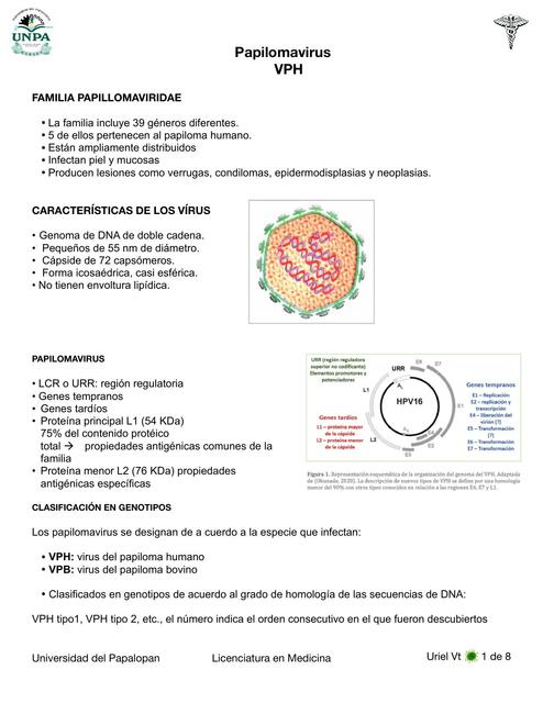 VpH Virología