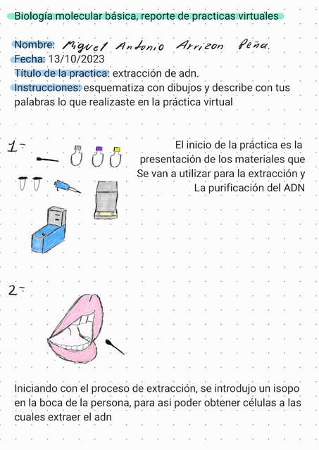 Trabajo de extracción de ADN