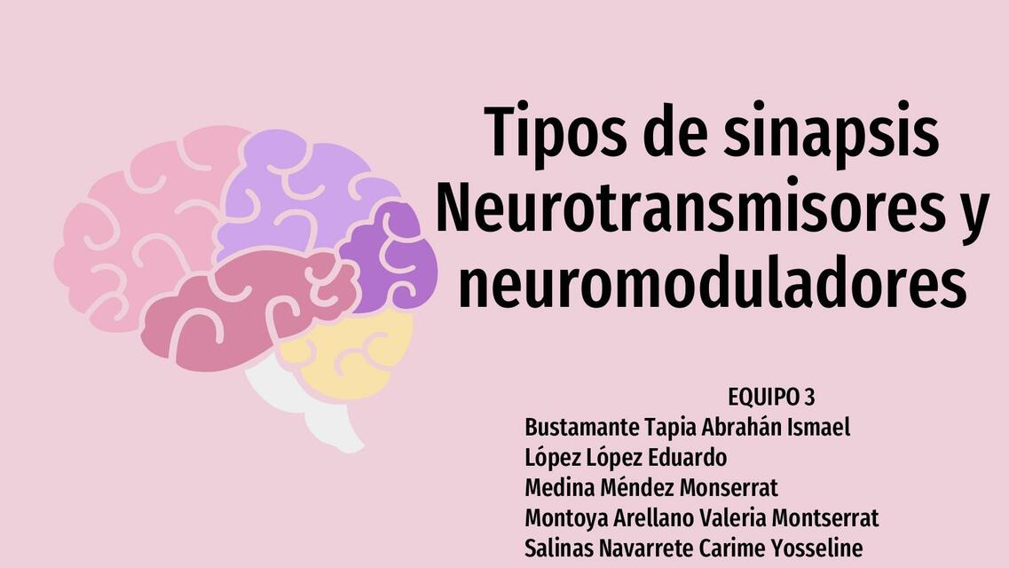 Tipos de sinapsis Neurotransmisores y neuromodulad