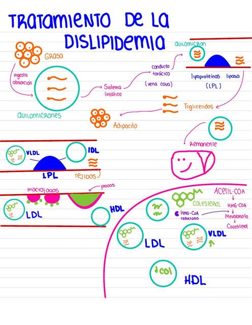 Tratamiento de la dislipidemia