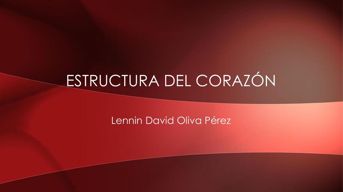 ESTRUCTURA DEL CORAZÓN