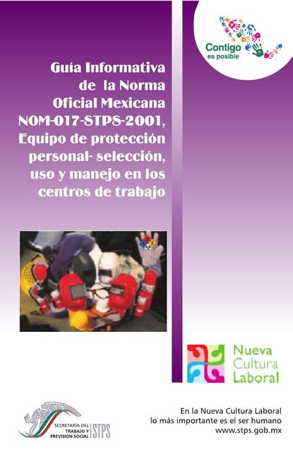 nom 017 stps guc3ada informativa