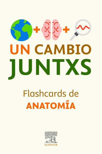 Flashcards Anatomia SLM BTU 1