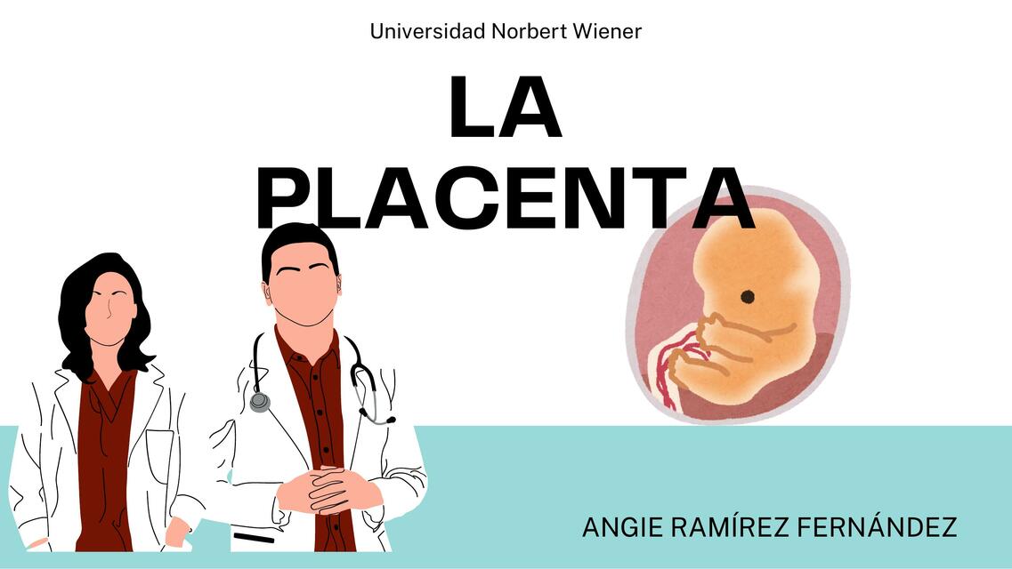 LA PLACENTA (vascularidad)