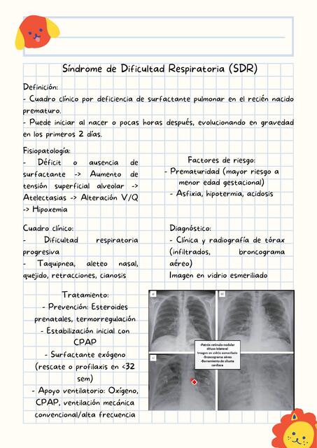 Síndrome de Dificultad Respiratoria SDR 