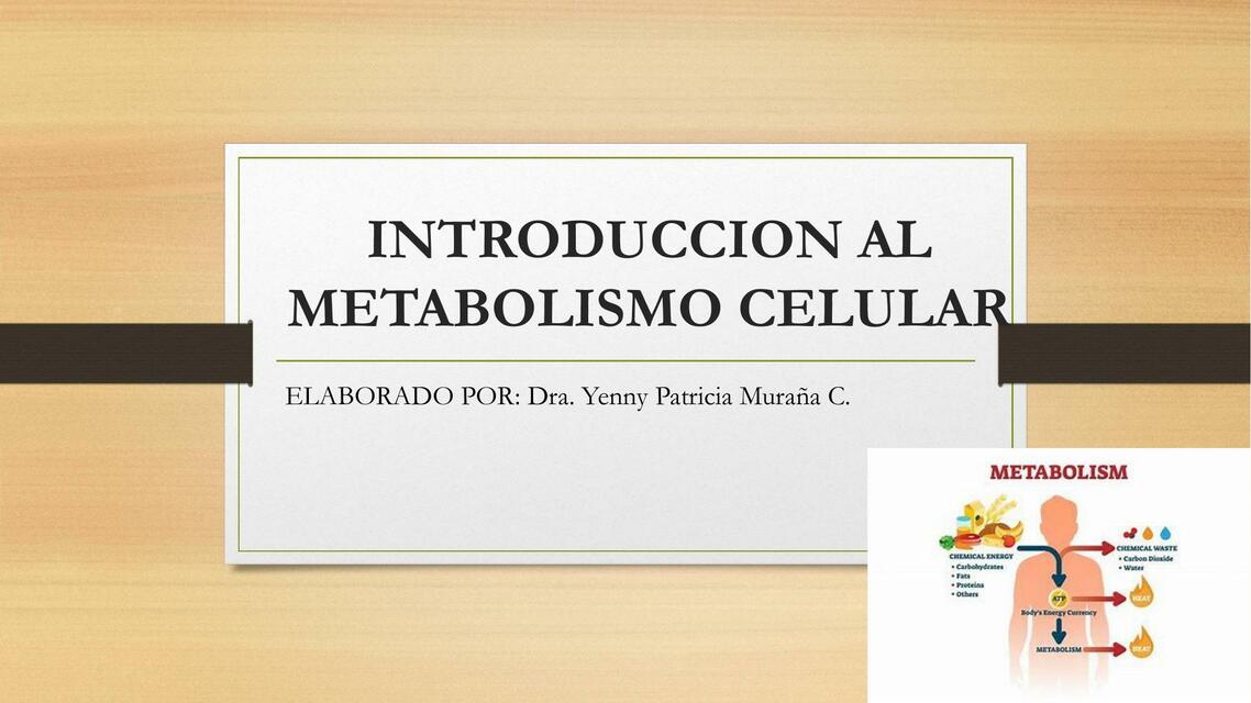 Introducción al Metabolismo Celular 