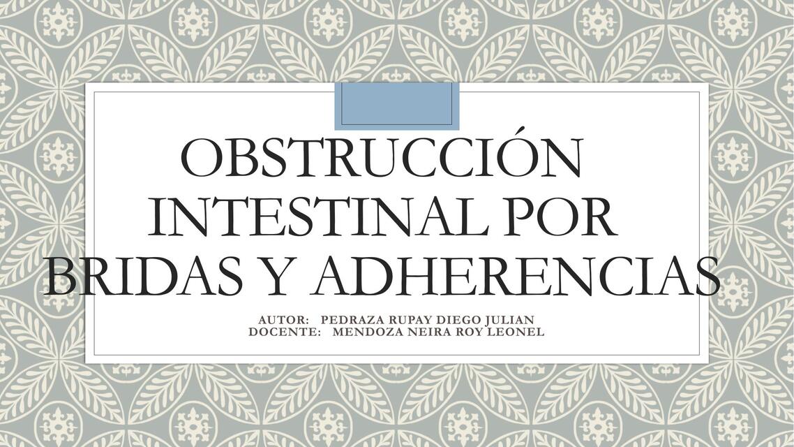 Obstrucción intestinal por bridas y adherencias 