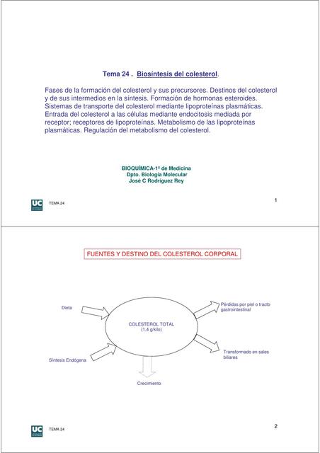  Biosíntesis del colesterol 