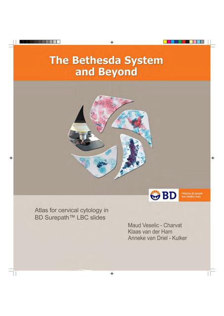 The Bethesda System and Beyond