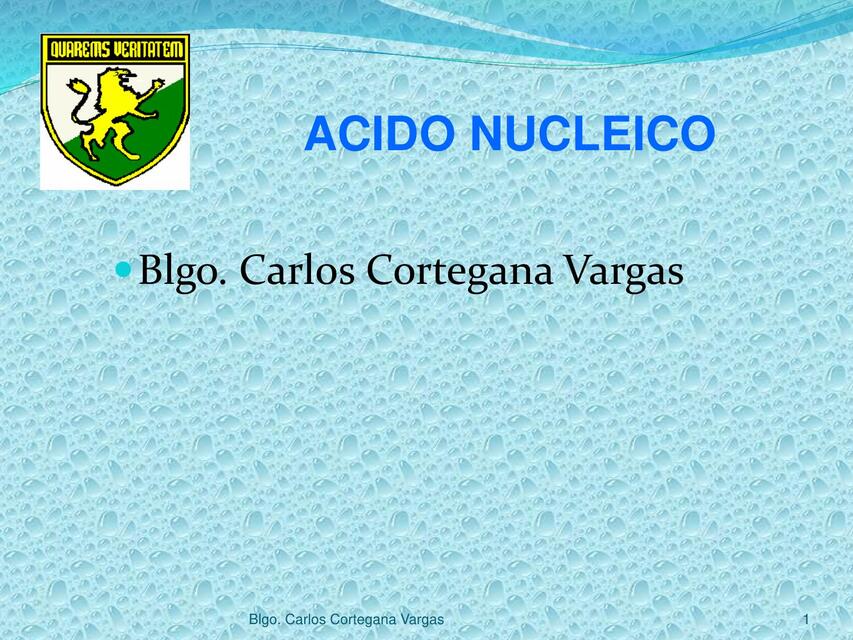 Ácido nucleico  