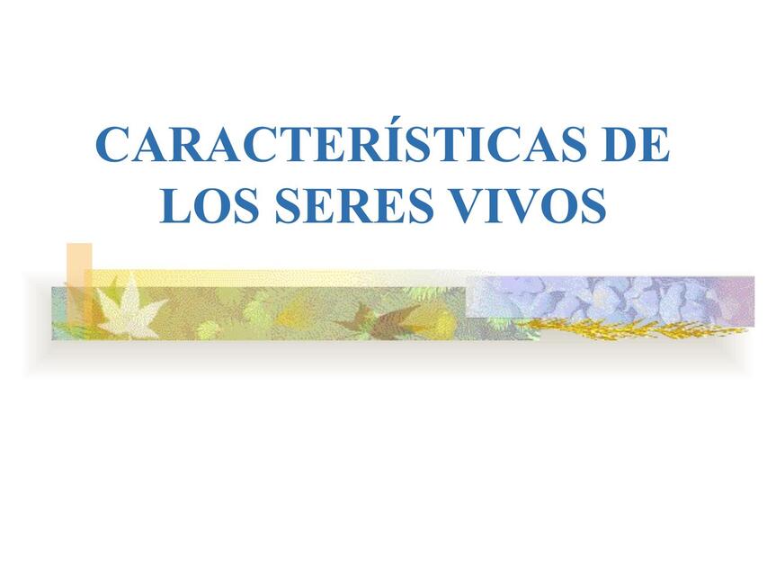 Características de los seres vivos 