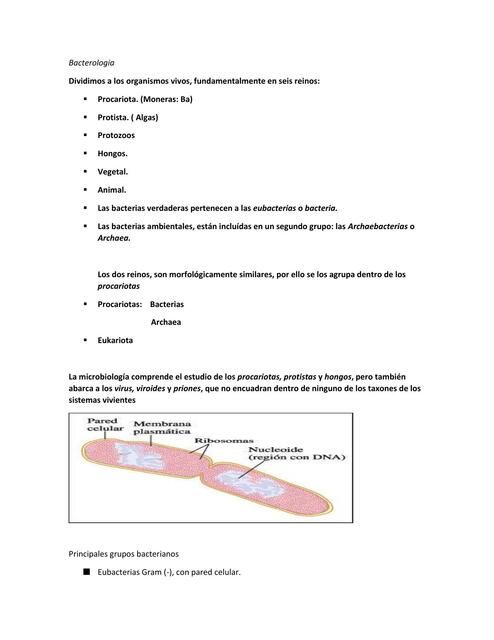 Bacteriología  