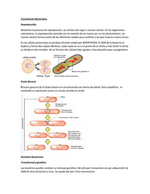 Crecimiento Bacteriano 