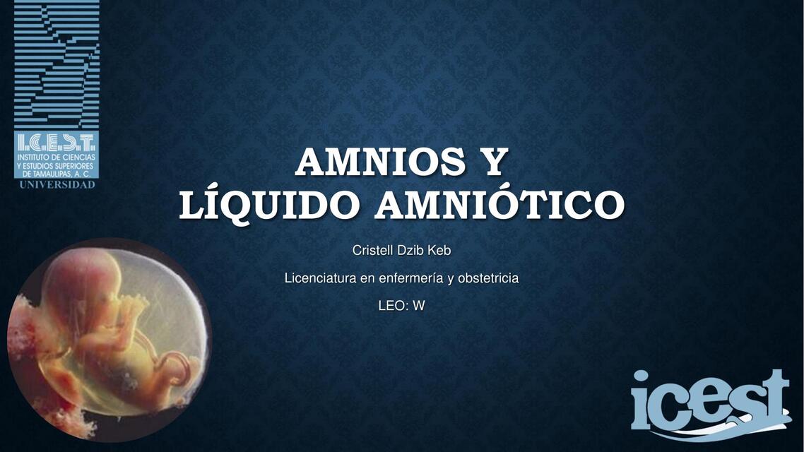 Amnios y líquido amniòtico | Cristell Dzib | uDocz