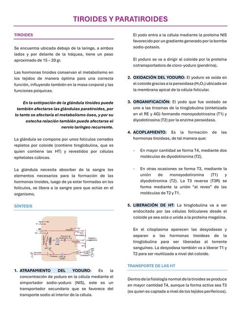 Tiroides y paratiroides 