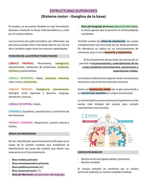 Estructuras superiores  