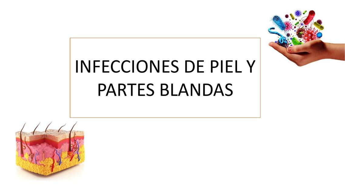 Infecciones de piel y partes blandas 