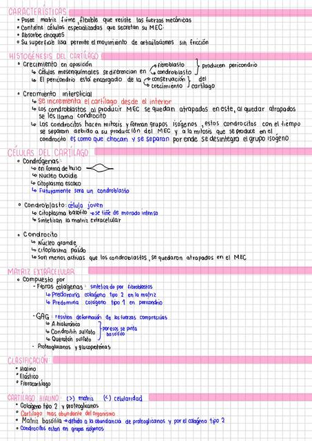 Tejido cartilaginoso Andrea uDocz