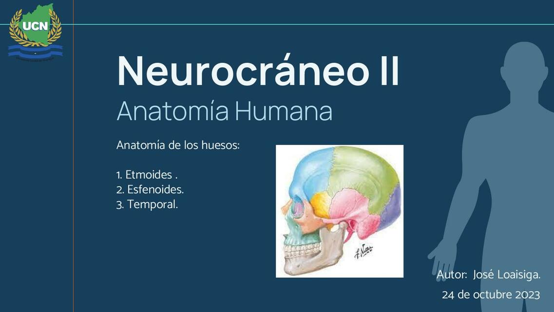 Neurocráneo (Huesos rtmoides, esfenoides y temporal)