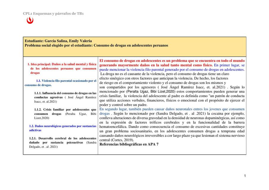 Esquema y parrafo ejemplo