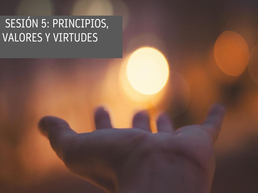 Sesión 5: principios, valores y virtudes 