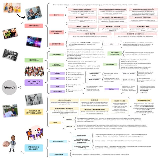 Organizador - Introducción a la Psicología