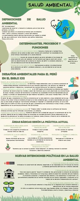 Infografía Salud ambiental